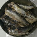 Sardine in Dosen in Pflanzenöl